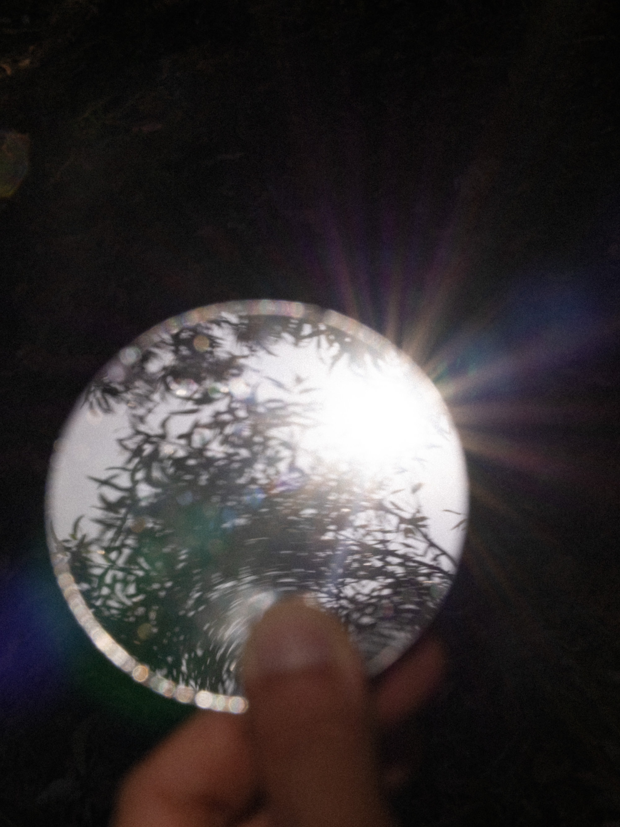 Substance and Reflection